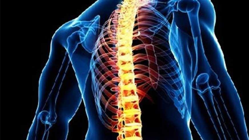 حرکات اصلاحی و آسیب شناسی