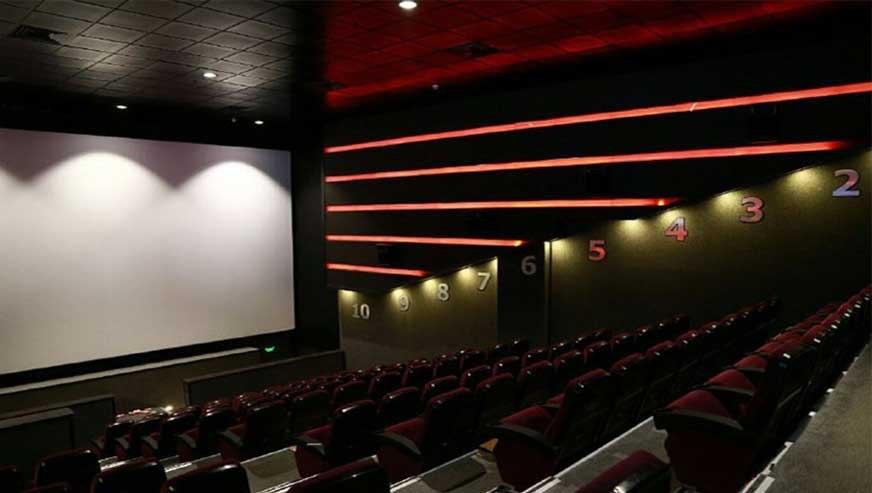 کارشناس مبانی نظری سینما