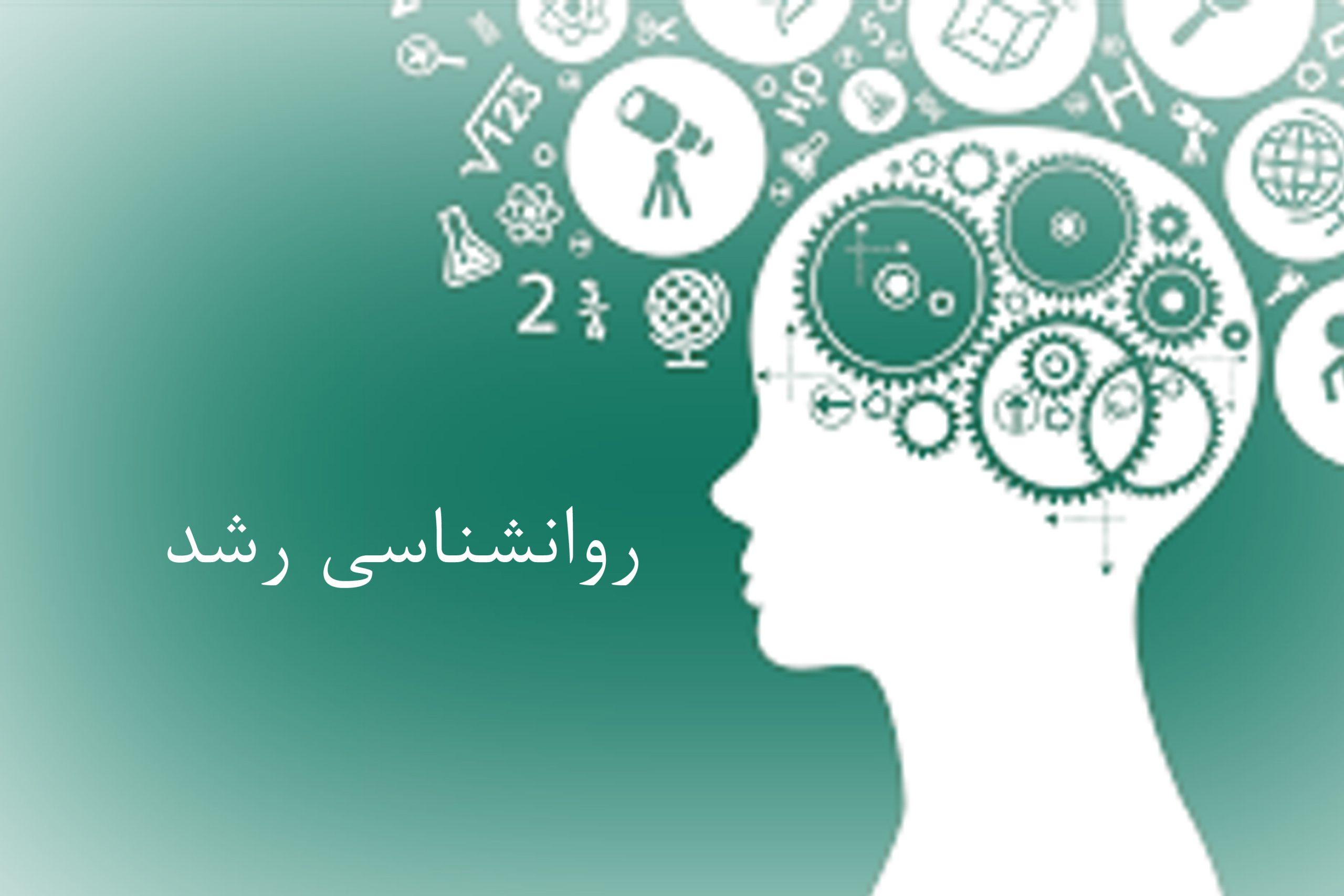 روانشناسی رشد لورا برک