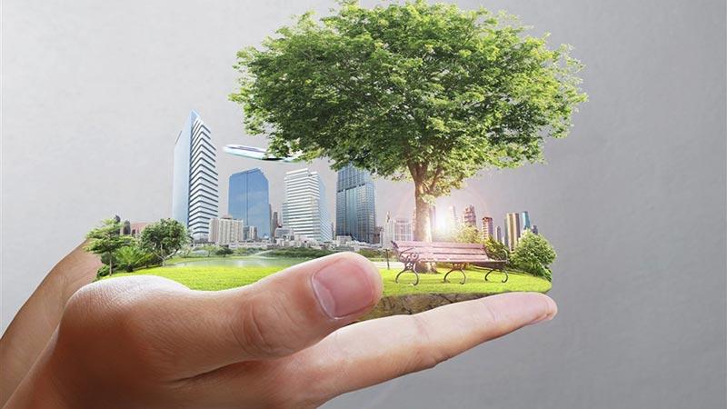 کارشناس بهداشت اصناف